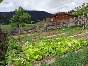 Il nostro giardino